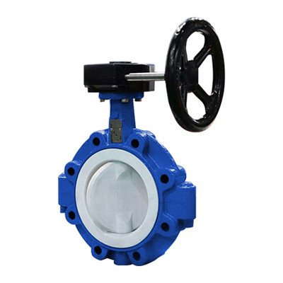 D371 F46 Convex  and Worm Gear Butterfly Valve 
