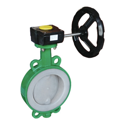 D371F46-150Lb Wafer and Worm Gear Butterfly Valve