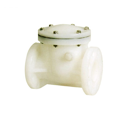 PVDF Check Valve