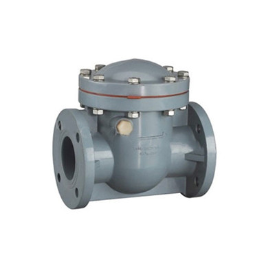 PVC Check Valve